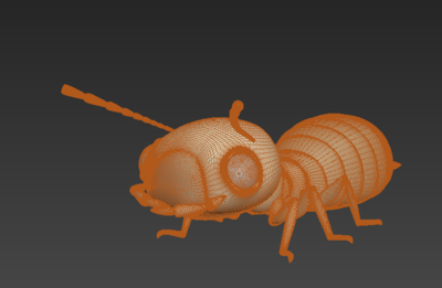 公蚁工蚁蚂蚁带绑定