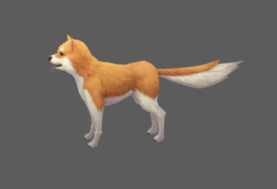 手绘 秋田犬 忠犬 八公 犬科 小狗 金毛犬  狗 宠物 可爱