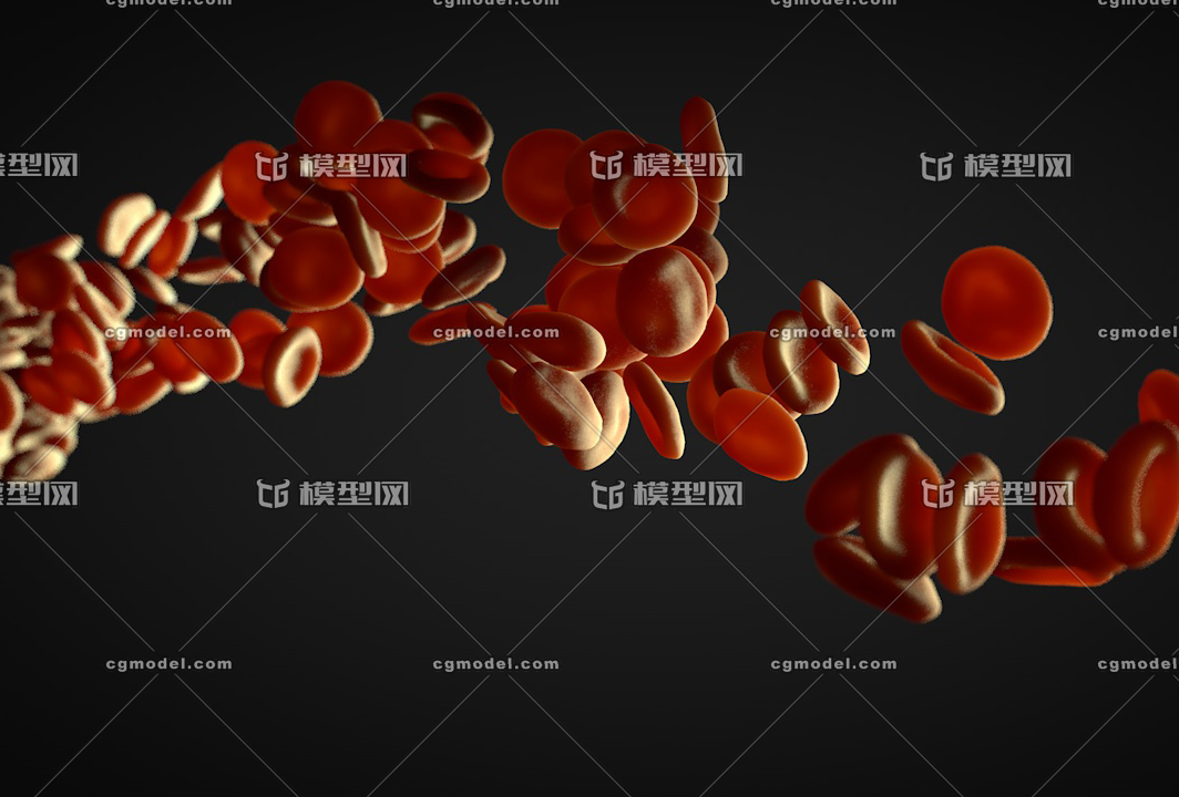 血管 血液流动 红细胞 血流 blood 带动画