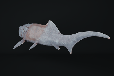 【带绑定】超写实邓氏鱼 深海鱼类 泥盆纪_zedsf作品_动物鱼类_cg模型