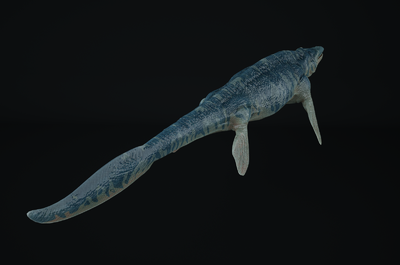 【带绑定】超写实沧龙 次时代 pbr 恐_zedsf作品_动物恐龙_cg模型网