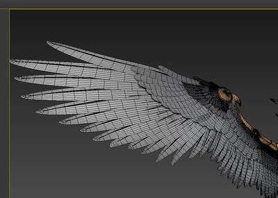 翅膀资源库 天使之翼 天马翅膀 翅膀套装_模型制造作品_动物飞禽_cg