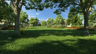 公園草坪 意境草坪 公園大樹特寫 喬木 _梔子花作品_場景現代場景_cg