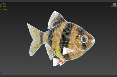 精致鱼3d模型