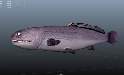 食人鱼 原始 海洋