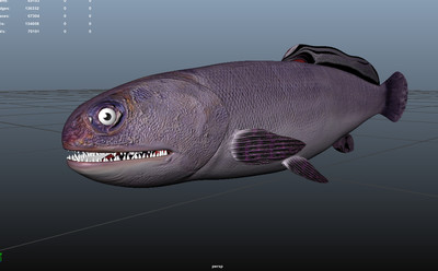 食人鱼 原始 海洋