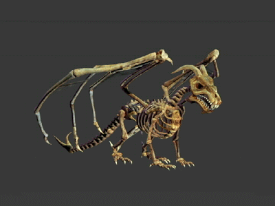 次时代骨龙飞龙骨骼魔龙带动画