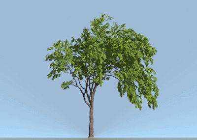 400_285gif 动态图 动图