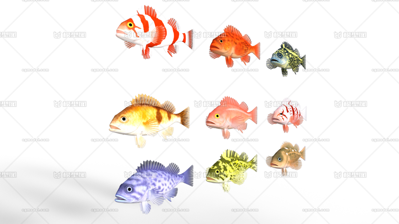 【高质量】9种鱼 海底鱼 深海鱼 鱼群 海底 海洋生物 水族馆 淡水鱼