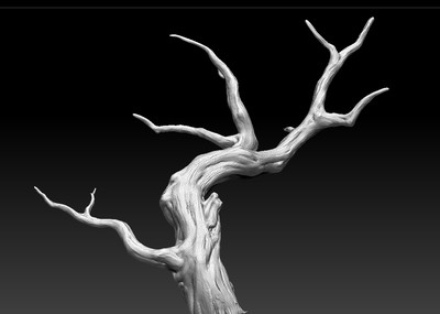 精美树根树干zb雕刻模型 游戏可3d打印精良制作 可拆  欢迎下载学习