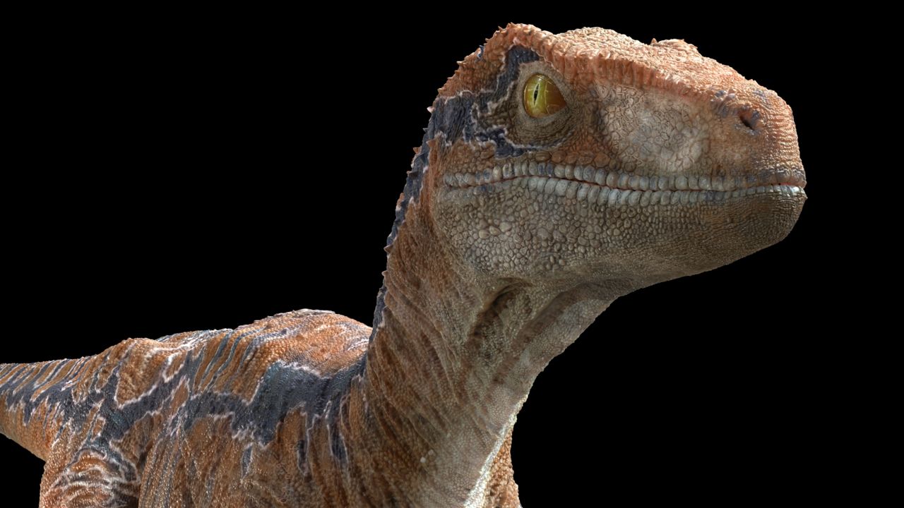 超写实影视恐龙第一次请欣赏