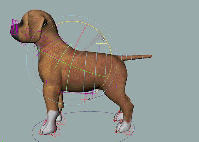 maya动物建模教程图片