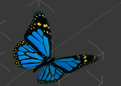 一群蝴蝶飞翅膀能煽动路径动画