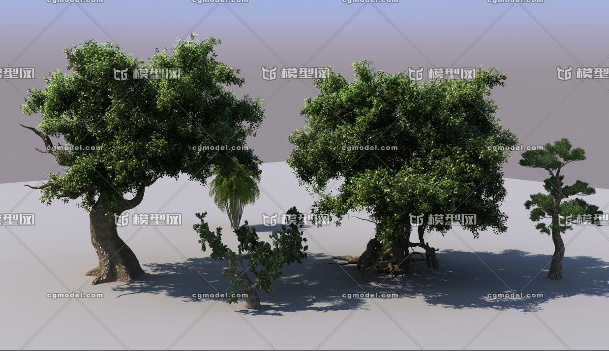 大树 树木模型-树木模型库-3ds Max(.max)模型下载-cg模型网