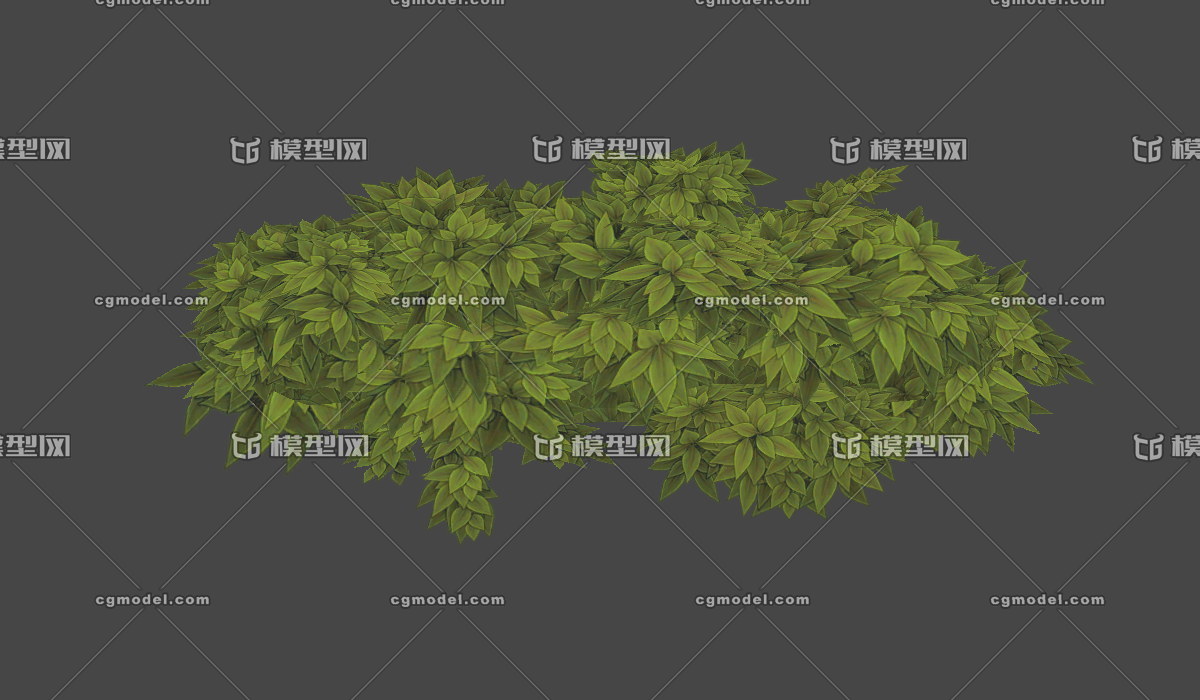 矮灌木丛3,景观植物带,带状草丛,小叶绿植,绿草,常绿植物