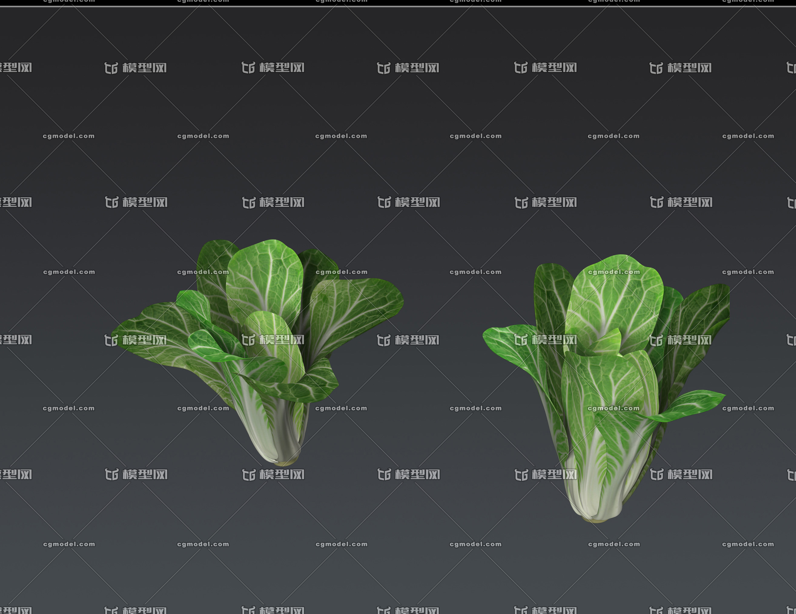 青菜,小白菜,蔬菜_皮卡喵作品_食品/饮料/药品生鲜果蔬_cg模型网
