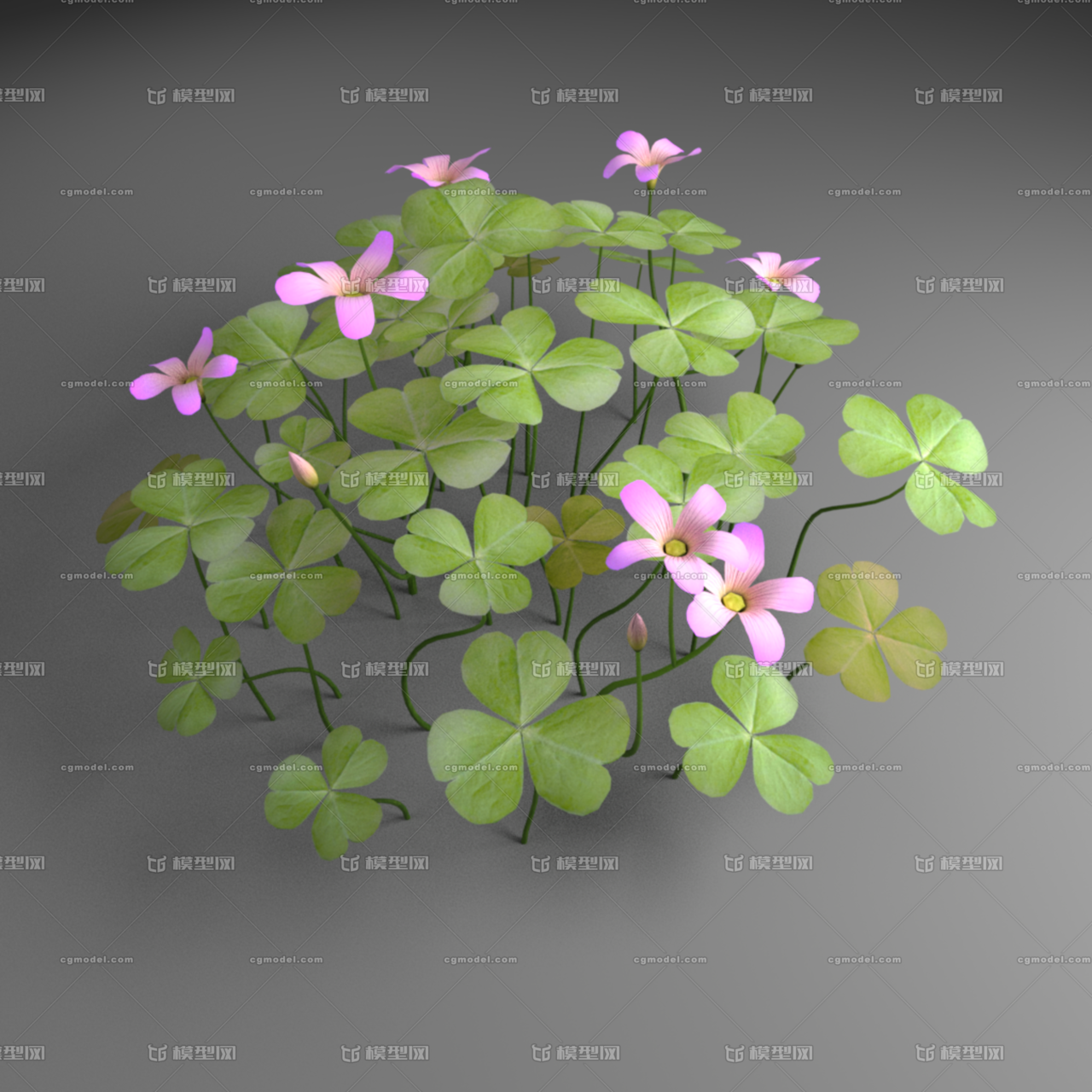 植物 三叶草模型-草类模型库-Maya(.ma/.mb)模型下载-cg模型网