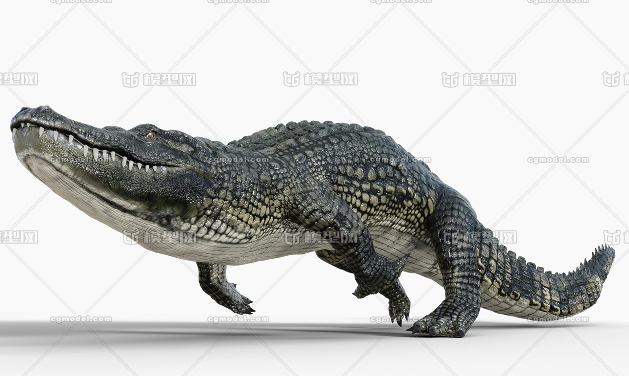 高精度鳄鱼【带骨骼8k贴图】 扬子鳄 巨鳄,凶猛,史前巨鳄,怪兽