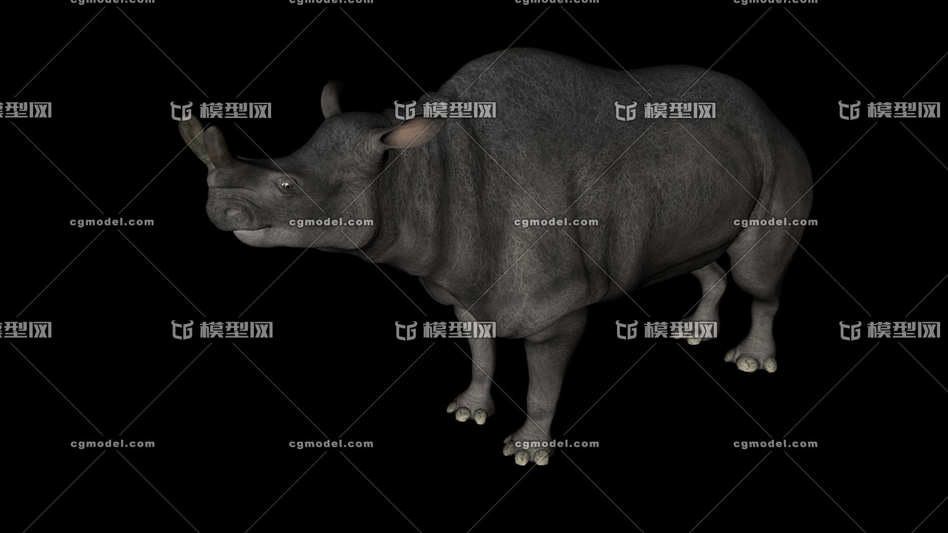 犀牛龙古代恐龙