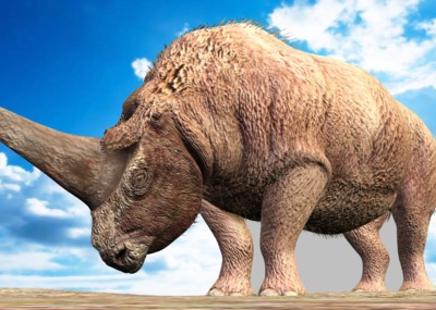 超写实板齿犀牛3d模型,古生物犀牛,披毛犀,古犀带绑定和全套动画.