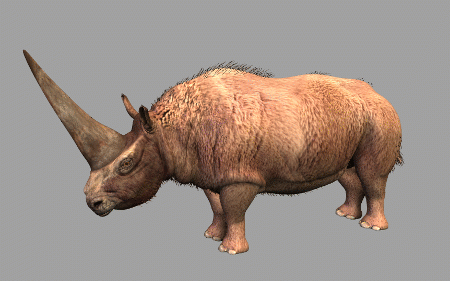 超写实板齿犀牛3d模型,古生物犀牛,披毛犀,古犀带绑定和全套动画.