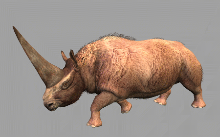 超写实板齿犀牛3d模型,古生物犀牛,披毛犀,古犀带绑定和全套动画.