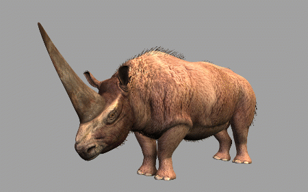 超写实板齿犀牛3d模型,古生物犀牛,披毛犀,古犀带绑定和全套动画.