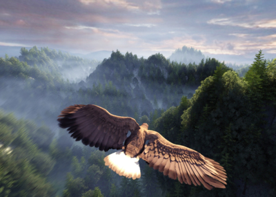 模型说明评论(0)购买评论(6)分享0鼓励一下,点个赞呗自由飞翔的老鹰