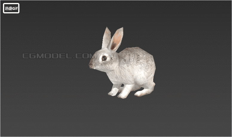 带动画写实兔子小白兔灰兔