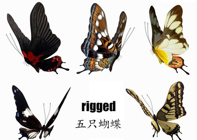五只蝴蝶【带绑定动画】 butterfly 花草 昆虫 蛾子