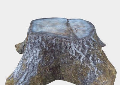 树桩木桩圆凳树木树墩子木墩子森林椅子野外休息处守