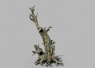 枯树 树干 树根 写实 树木 老树