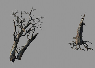 枯树树干树根写实树木老树