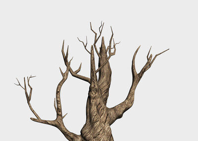 枯树树干树根写实树木老树