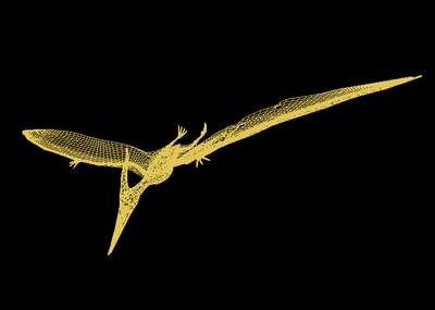 翼龙飞龙鸟类恐龙侏罗纪动物