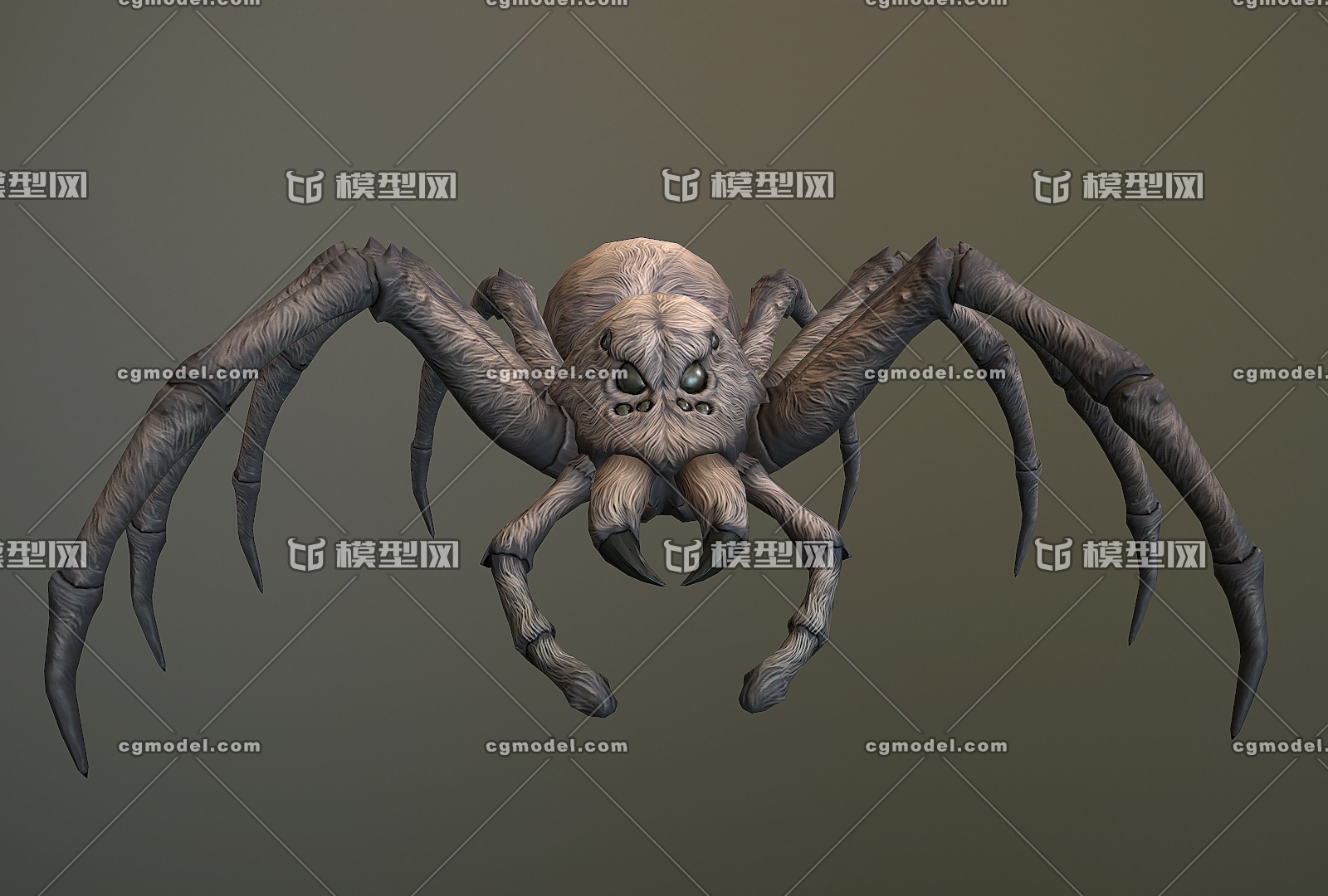 八眼蜘蛛幼崽次世代毒蜘蛛毛蜘蛛昆虫 Cg模型网 Cgmodel 三维设计师交流互动平台 专注多品类3d模型下载 原创作品分享 软件学习