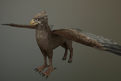 鹰马兽-比克巴克   奇幻动物  次世代 飞禽  神话动物   哈利波特