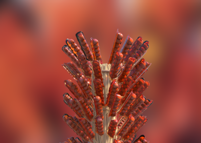 很写实 冰糖葫芦 有糖衣 竹竿一根根的草垛 山楂味道好 来一串