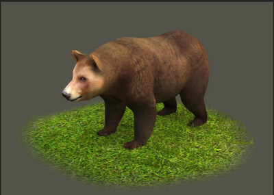 哺乳动物系列 棕熊 狗熊 食肉熊 大型动物 虚拟现实 ar vr 原创动物