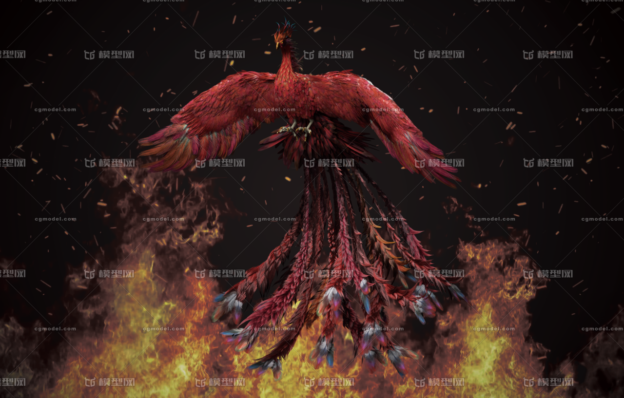 凤凰 次世代写实凤凰 中国传统神兽 不死鸟 火凤凰 菲尼克斯 朱雀