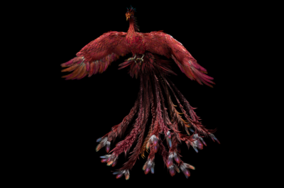 凤凰 次世代写实凤凰 中国传统神兽 不死鸟 火凤凰 菲尼克斯 朱雀