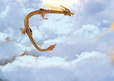 梦幻飞龙在天效果图图片