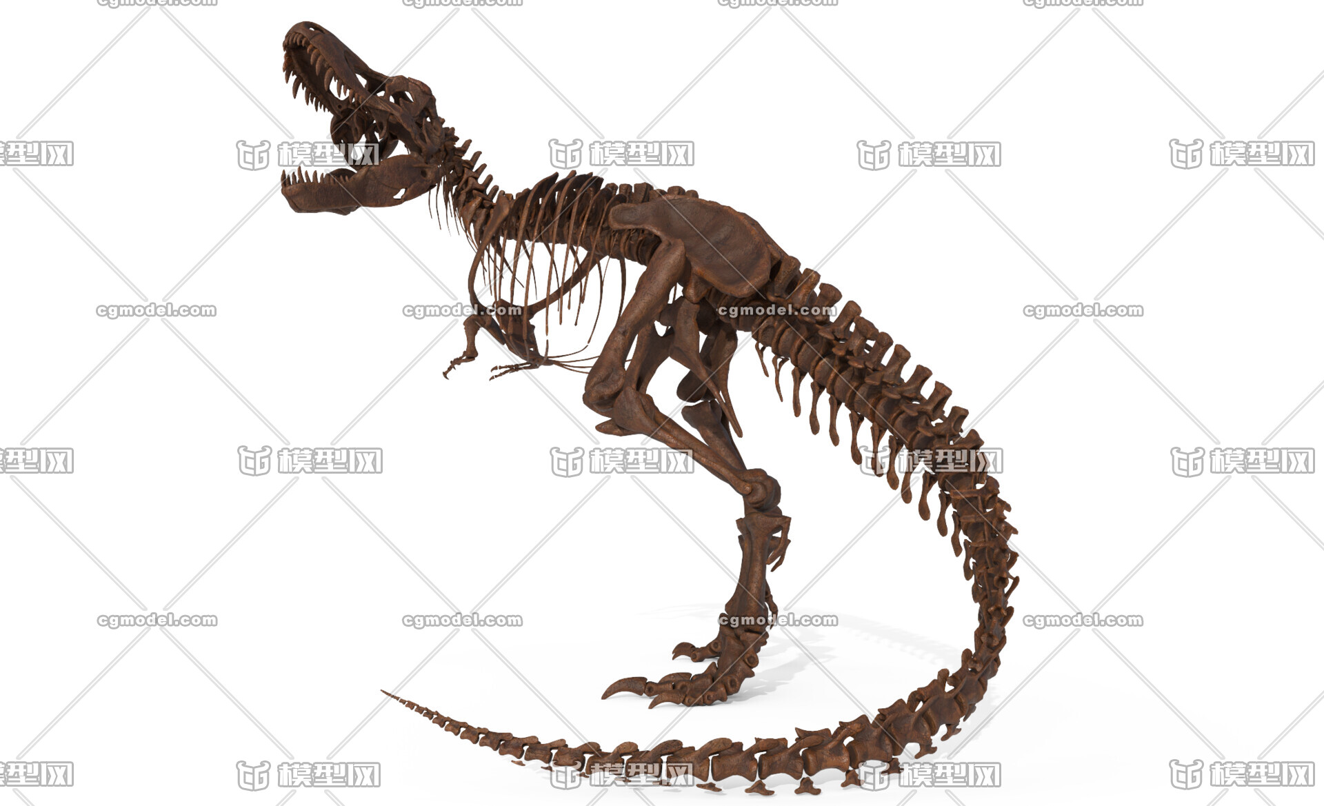 写实霸王龙骨架模型