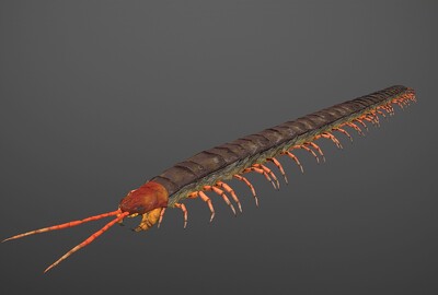 超写实蜈蚣次时代节肢动物八脚怪