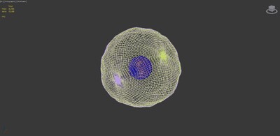 单个细胞模型_pandaeye作品_微生物其他_cg模型网