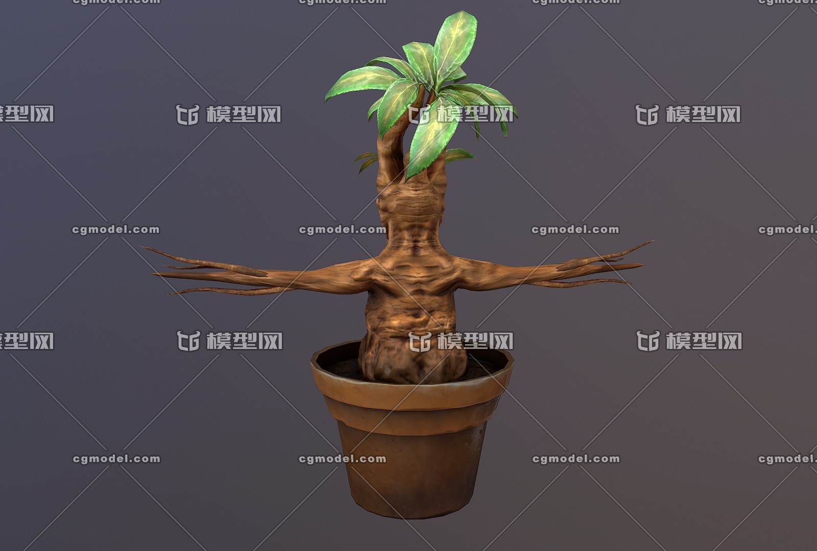 魔法曼陀罗茄参毒参茄魔法植物 Cg模型网 Cgmodel 三维设计师交流互动平台 专注多品类3d模型下载 原创作品分享 软件学习