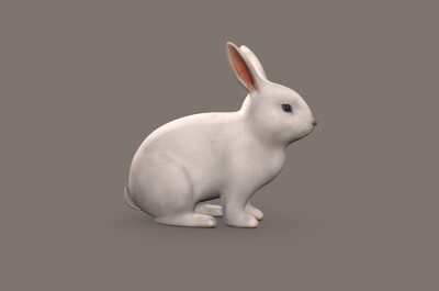 **兔子3d模型