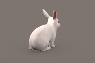 **兔子3d模型