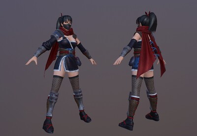 日本女忍者 古代忍术女人 次世代 ninja
