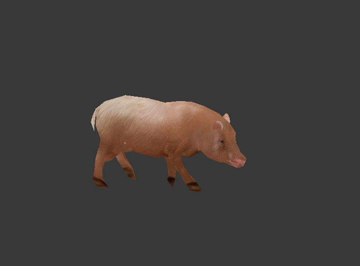 可爱猪 胖猪模型-哺乳模型库-3ds Max(.max)模型下载-cg模型网